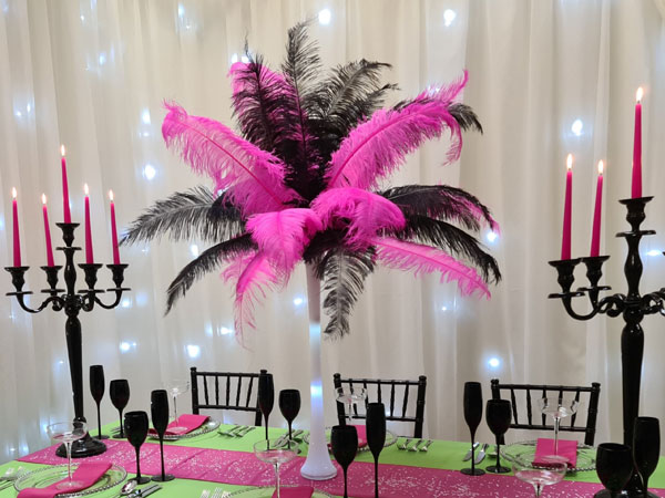 Black & Fuchsia Lit Feather Plume