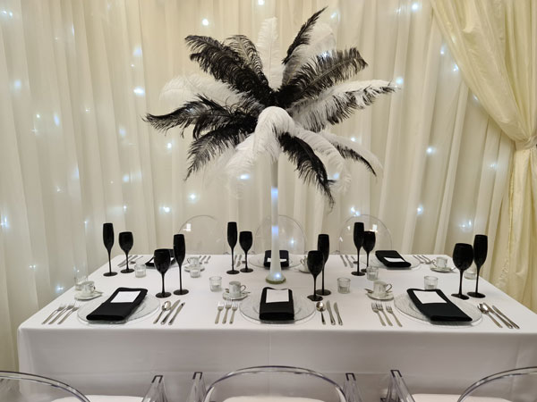 Black & White Lit Feather Plume